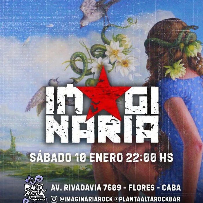 Imaginaria y los camellos