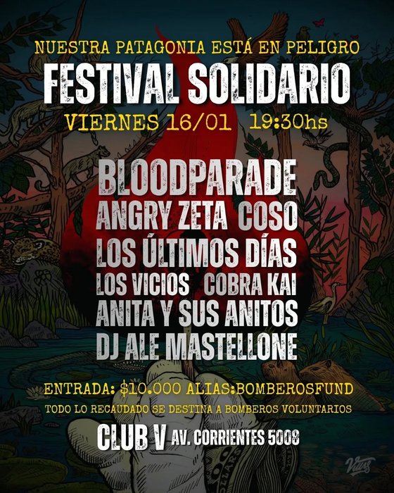 Festival Solidario