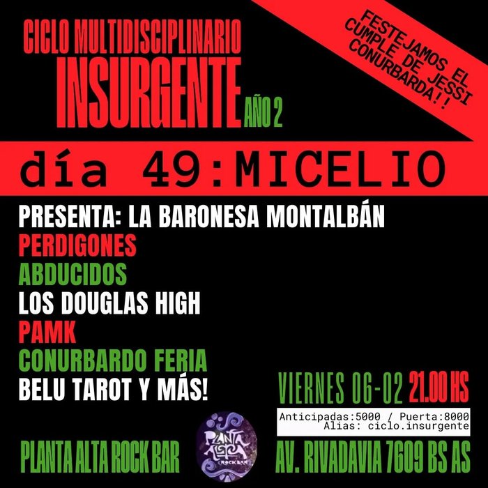 Ciclo Multidisciplinario Insurgente Año 2