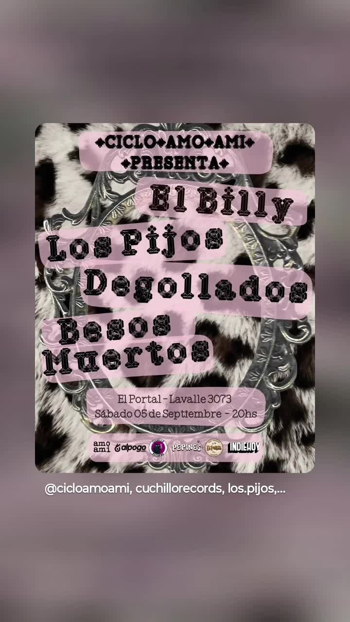 CICLO AMO AMI