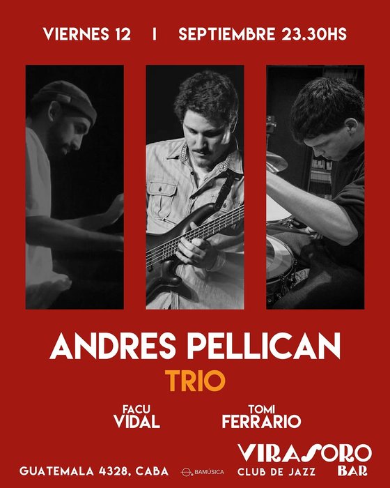 ANDRES PELLICAN TRIO