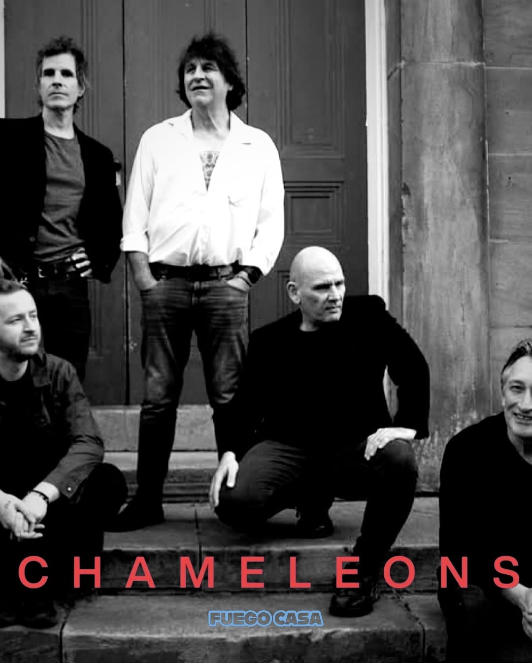 CHAMELEONS