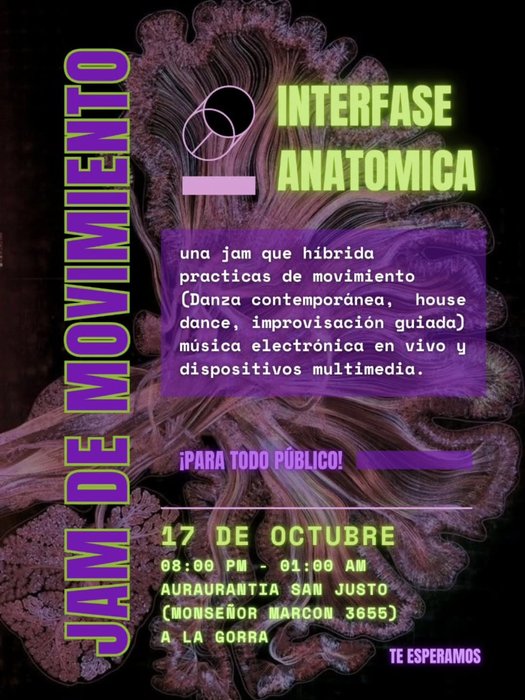INTERFASE ANATOMICA